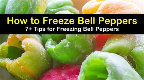 how to freeze bell app